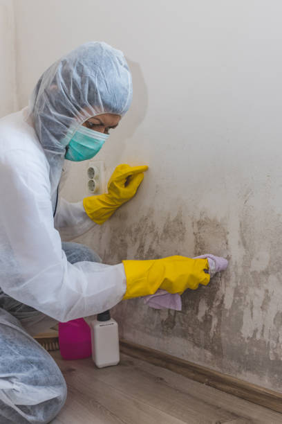 Best Air Quality Testing for Mold Spores  in Crandon Lakes, NJ